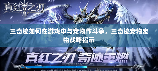 三奇迹如何在游戏中与宠物作斗争，三奇迹宠物宠物战略揭示