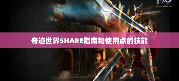 奇迹世界SHARE指南和使用点的技能  第1张