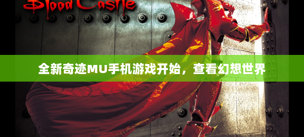 全新奇迹MU手机游戏开始，查看幻想世界  第1张
