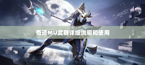 奇迹MU武器详细说明和使用